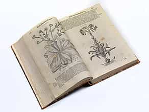 Mattioli - die Ausgabe mit den großen Holzschnitten Mattioli, Pier Andrea. Commentariorum in P. Dioscoridis de medica materia. Venedig, Valgrisi, 1583.