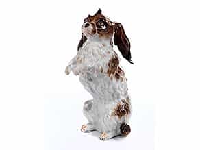 Meissener Porzellanfigur eines Bologneser-Hundes