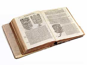 Reich illustriertes Kräuterbuch des 16. Jahrhunderts