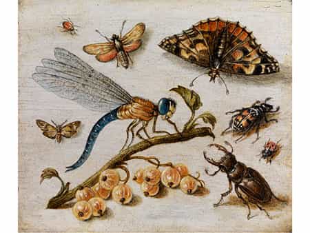 Jan van Kessel, 1626 – 1679, zug. 