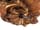 Detailabbildung:  Paar imposante Akanthusblatt-Konsolen