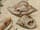Detail images: Jan van Kessel d. Ä., um 1626 Antwerpen - 1679 ebenda