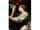 Detail images: Italienischer Maler des 18. Jahrhunderts in der Nachfolge von Matteo Rosselli, 1578 – 1651