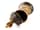 Detailabbildung: Großer Elfenbein-Prunkhumpen