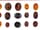 Detail images: Schaukasten mit einer Sammlung von 39 ovalen Gemmen