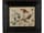 Detailabbildung: Jan van Kessel I, um 1626 – 1679