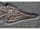Detail images: Stenopterygius quadriscissus