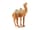 Detailabbildung: Terrakottafigur eines Kamels