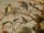 Detailabbildung: Jan Brueghel d. Ä., 1568 – 1625, Nachfolge