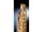 Detailabbildung: Elfenbein-Schnitzfigur der Heiligen Katharina