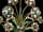 Detailabbildung: Bedeutender Juwelenstrauß in Bergkristall-Vase