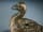 Detail images: Bronzefigur einer Ente
