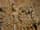 Detailabbildung: Zwei Terrakotta-Tafeln nach den Reliefs im Durchgang des Titusbogens in Rom