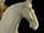 Detailabbildung: Pferd und Reiter der Tang-Dynastie