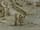 Detailabbildung: Italienische Sepia-Tuschzeichnung: Ansicht von Florenz