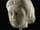 Detailabbildung: Römischer Marmorkopf