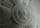 Detailabbildung: Leicht überlebensgroße Marmorbüste eines Feldherrn der Zeit Napoleons.