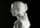 Detailabbildung: Venusbüste auf hoher Säule in Carraramarmor