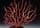 Detailabbildung: Roter Korallenbaum auf ebonisiertem Sockel, 19. Jahrhundert