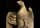 Detailabbildung: Großer Balusterpfeiler mit bekrönender Adlerfigur