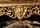 Detailabbildung: Großer, vergoldeter Konsoltisch im Louis XIV-Stil mit Marmorplatte