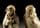 Detailabbildung: Paar Schnitzfiguren in Elfenbein