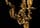 Detailabbildung: Paar Louis XV-Wandkerzenleuchter