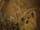 Detail images: Nicolas Bachelier, tätig in der zweiten Hälfte des 18. Jahrhunderts Schuf 1760 vier Supraporten für das Château de Choisy in der Zeit Louis XIV: vier Erdteile, durch Vögel symbolisiert. Das Schloss wurde nach der Französischen Revol