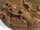Detailabbildung: Reliefplatte mit Darstellung der alttestamentlichen Szenerie der Ehernen Schlange