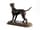 Detail images: Bronzefigur eines Jagdhundes