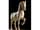 Detailabbildung: Bedeutende Elfenbeinschnitzfigur eines Pferdes