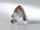 Detailabbildung: Petschaft in Bergkristall mit vergoldetem Bügel und Perlenbesatz