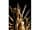 Detailabbildung: Strahlenkranz-Madonna in Bronze und Feuervergoldung