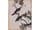 Detail images: Satz von acht Vogelbildern auf chinesischem Reispapier