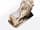 Detailabbildung: Paar seltene italienische romanische Marmor-Portallöwen