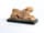 Detailabbildung: Skulptur eines liegenden Löwen in Veroneser Marmor