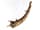 Detailabbildung:  Olifantenhorn in Elfenbein