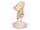 Detailabbildung: Antike Marmorfigur eines nackten Knaben
