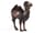 Detailabbildung: Große Schnitzfigur eines Kamels