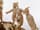 Detail images: Elfenbein-Figurengruppe nach Claude Michel Claudion, 1738 Nancy - 1814