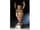 Detailabbildung: Große, museale Prunk-Amphorenvase in Elfenbein mit Silbermontierungen