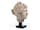 Detailabbildung: Marmorkopf einer antiken Venusfigur