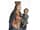 Detail images: Schnitzfigur einer Madonna mit Kind