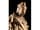 Detail images: Italienischer Bildhauer des 18. Jahrhunderts