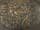 Detailabbildung: Reliefplatte mit dem Kampf zwischen David und Goliath