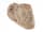 Detailabbildung: Fragment eines linken männlichen Fußes in Marmor