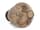 Detailabbildung: Etruskische Urnenvase