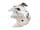 Detailabbildung: Meissener Porzellanhund nach Modell von J.J. Kaendler