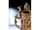 Detailabbildung: Großer, historischer Elfenbeinhumpen mit plastischem, figürlichem Dekor