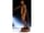 Detailabbildung:  Anatomisches Wachsmodell eines stehenden Mannes ohne Körperhaut mit Darstellung der subkutanen Muskulatur, Ludovico Cigoli, zug.
